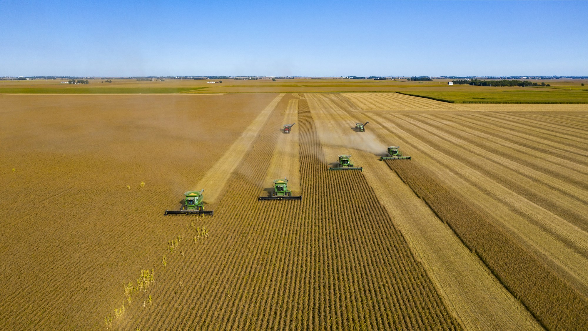 Combine harvesters working across a large golden crop field beneath a clear blue sky