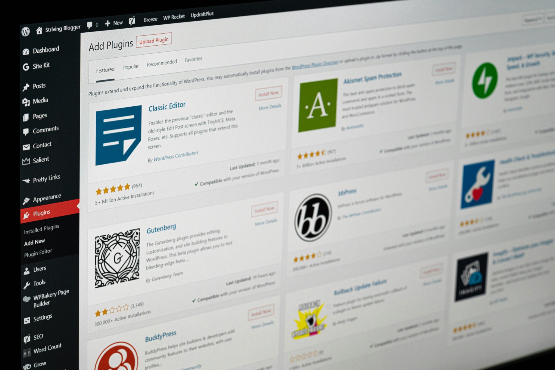 WordPress dashboard displaying the plugin installation screen