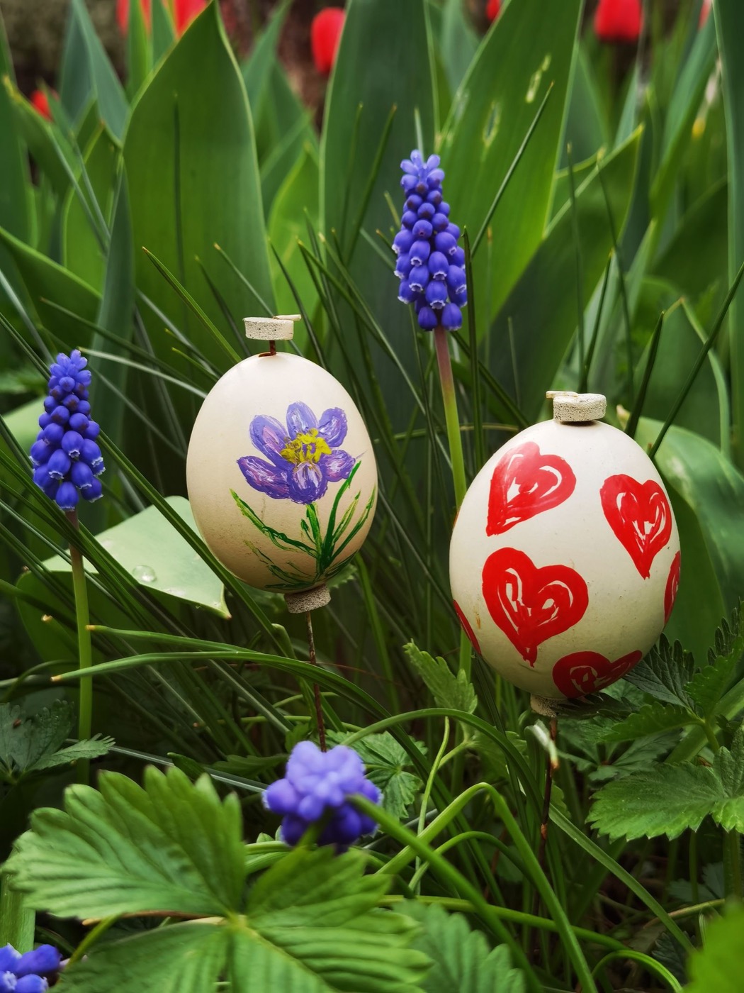 Decorated Easter eggs among spring flowers