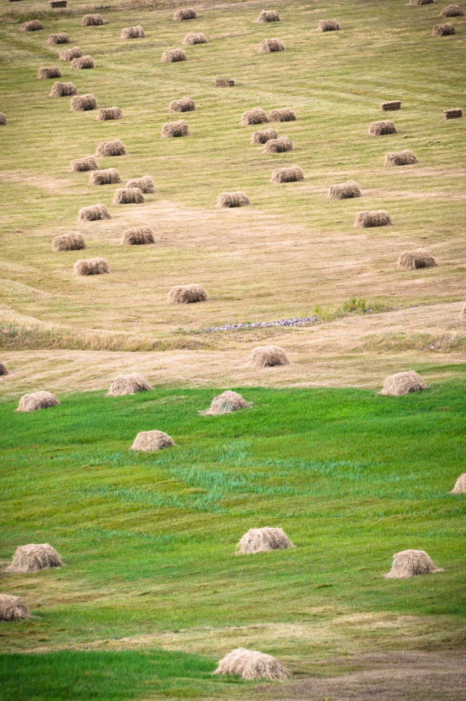 Hay bales across a rural summer field